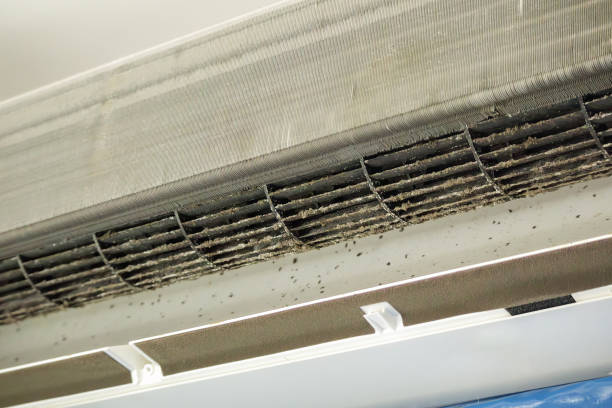 Best Air Duct Sanitization & Disinfection in Silver Lake, OH